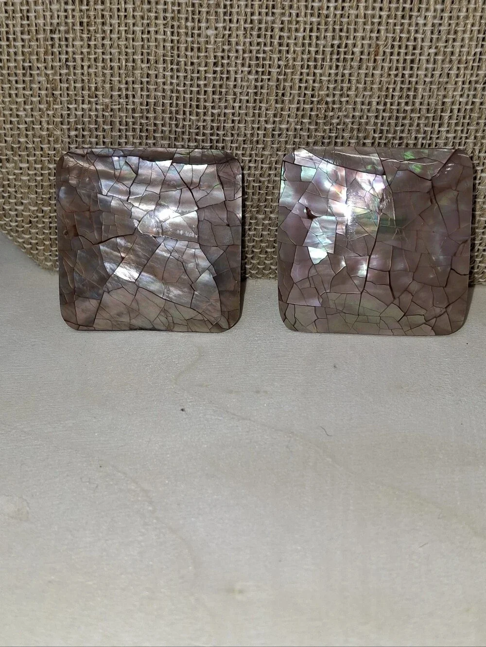 Shell Fragment Earrings